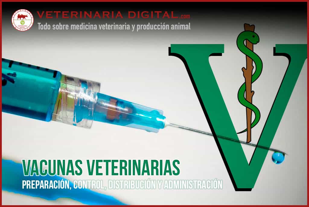 Vacunas Veterinarias: Preparación, Control, Distribución y Administración
