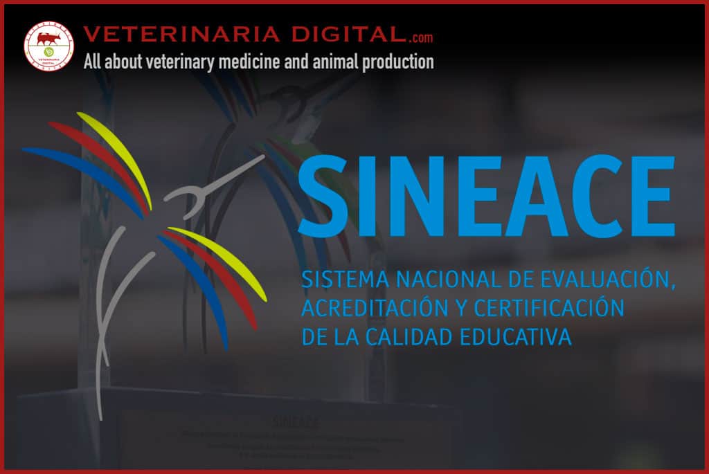 Veterinary Medical College of Peru and Professionals: Certification Path.