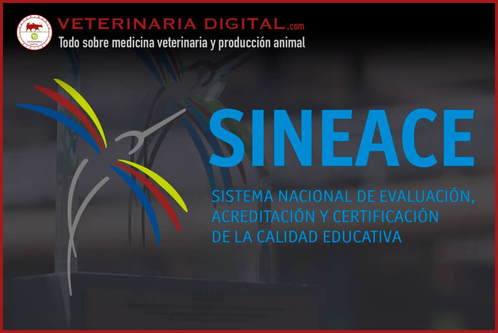 El Colegio Médico Veterinario del Perú y sus Profesionales: Camino de la Certificación.