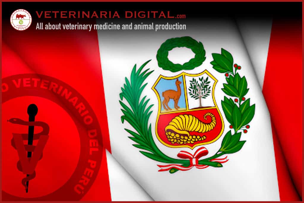 Veterinary Medicine in Peru.