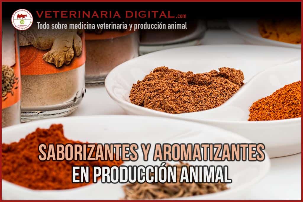 Saborizantes y Aromatizantes en Producción Animal