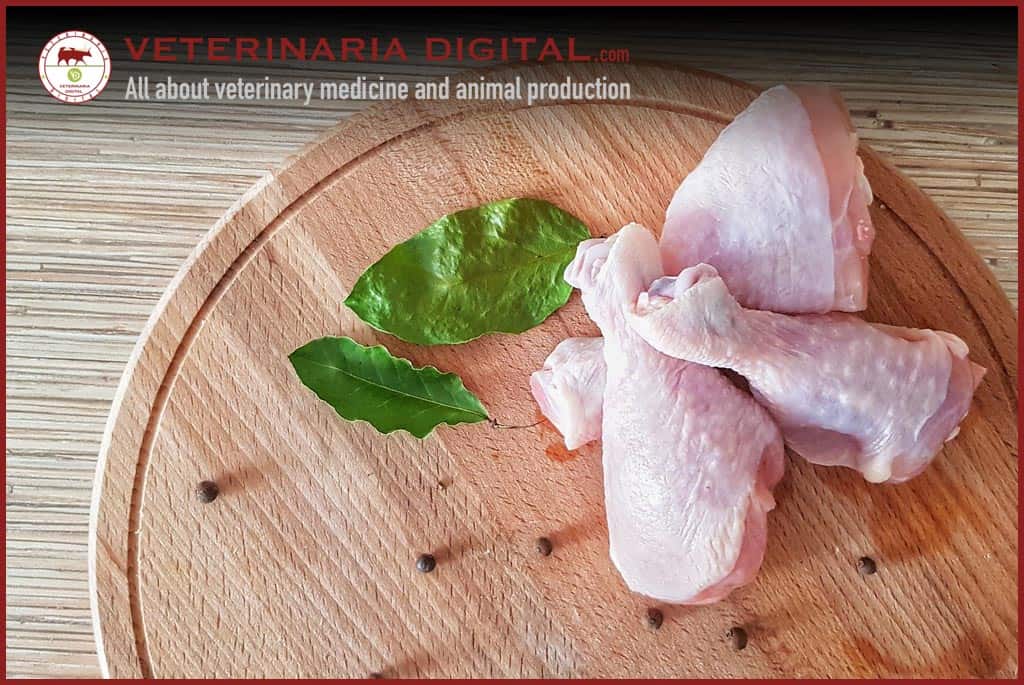 Ecological chicken meat production: Prevention of coccidiosis using not pharmacological methods.