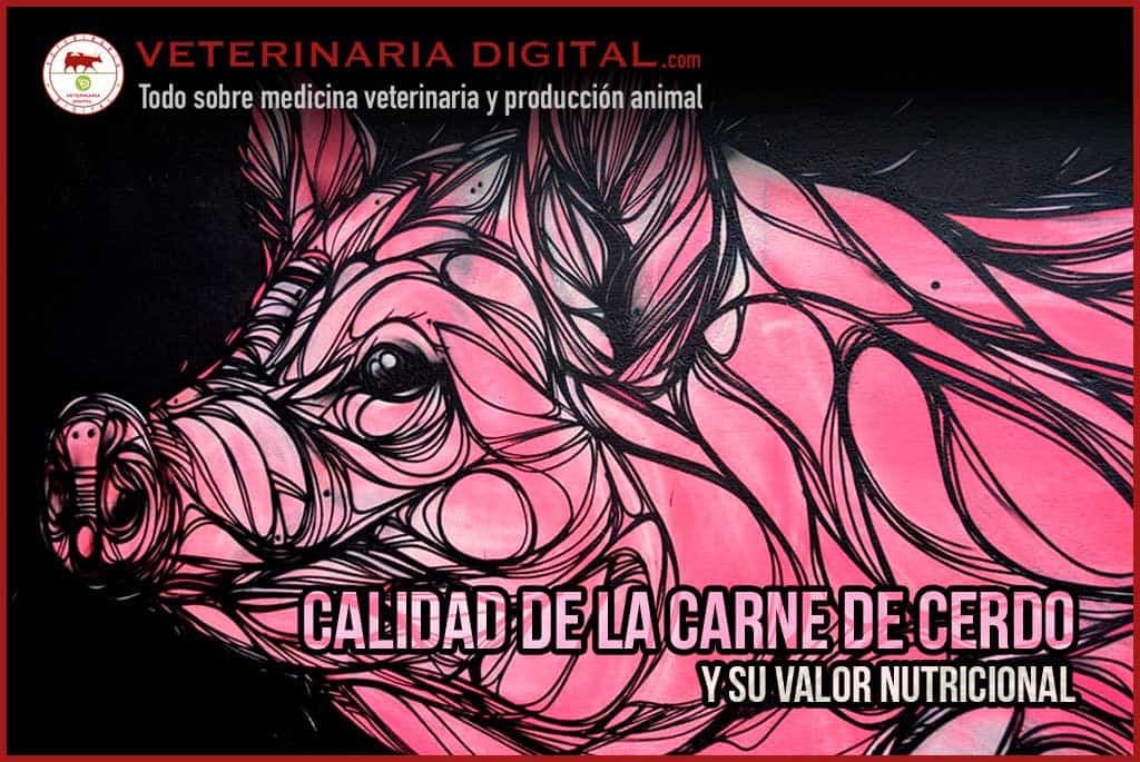 Calidad de la carne de cerdo y su valor nutricional