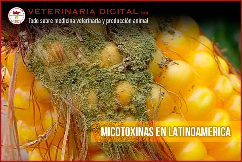 Micotoxinas en Latinoamerica