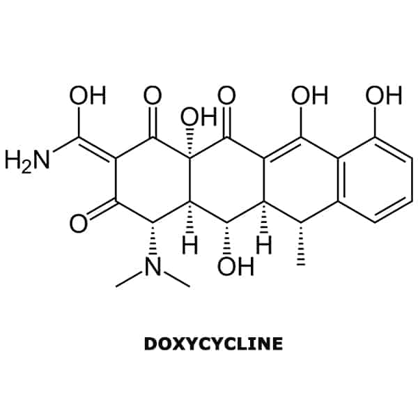 Research on the sensitivity of bacteria and mycoplasmas from animal origin to doxycycline