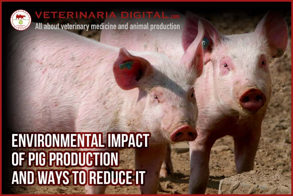 Environmental impact of pig production and ways to reduce it