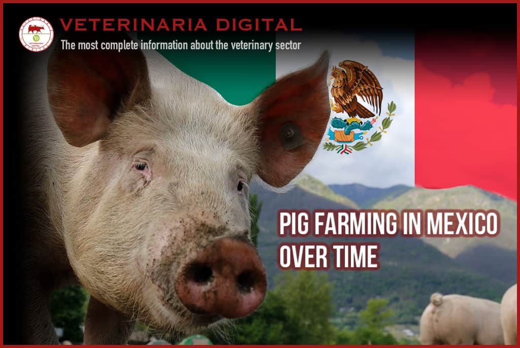 Pig farming in Mexico over time