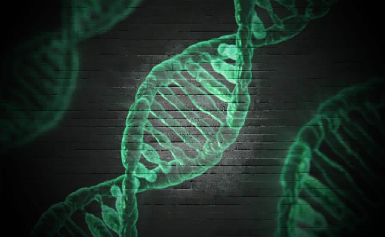 Formación estelar y protobióntica de moléculas orgánicas complejas basadas en carbono. Divulgación 82