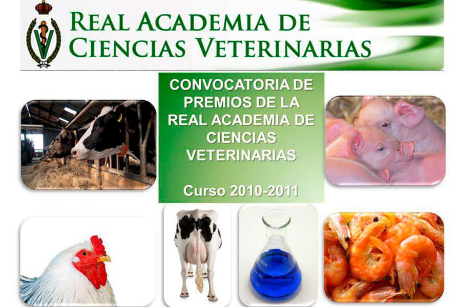 RACVE: Convocatoria de Premios de la Real Academia de Ciencias Veterinarias Curso 2010-2011