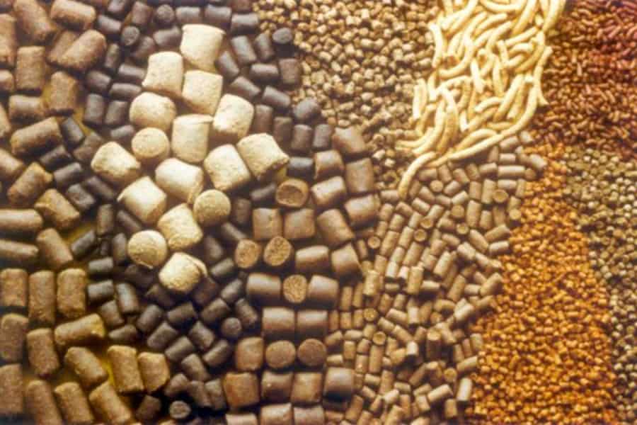 Situation of Animal Feed Additives in the EU