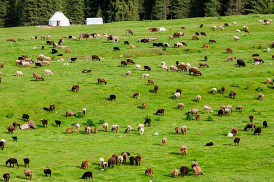 Soil security, a new important concept
