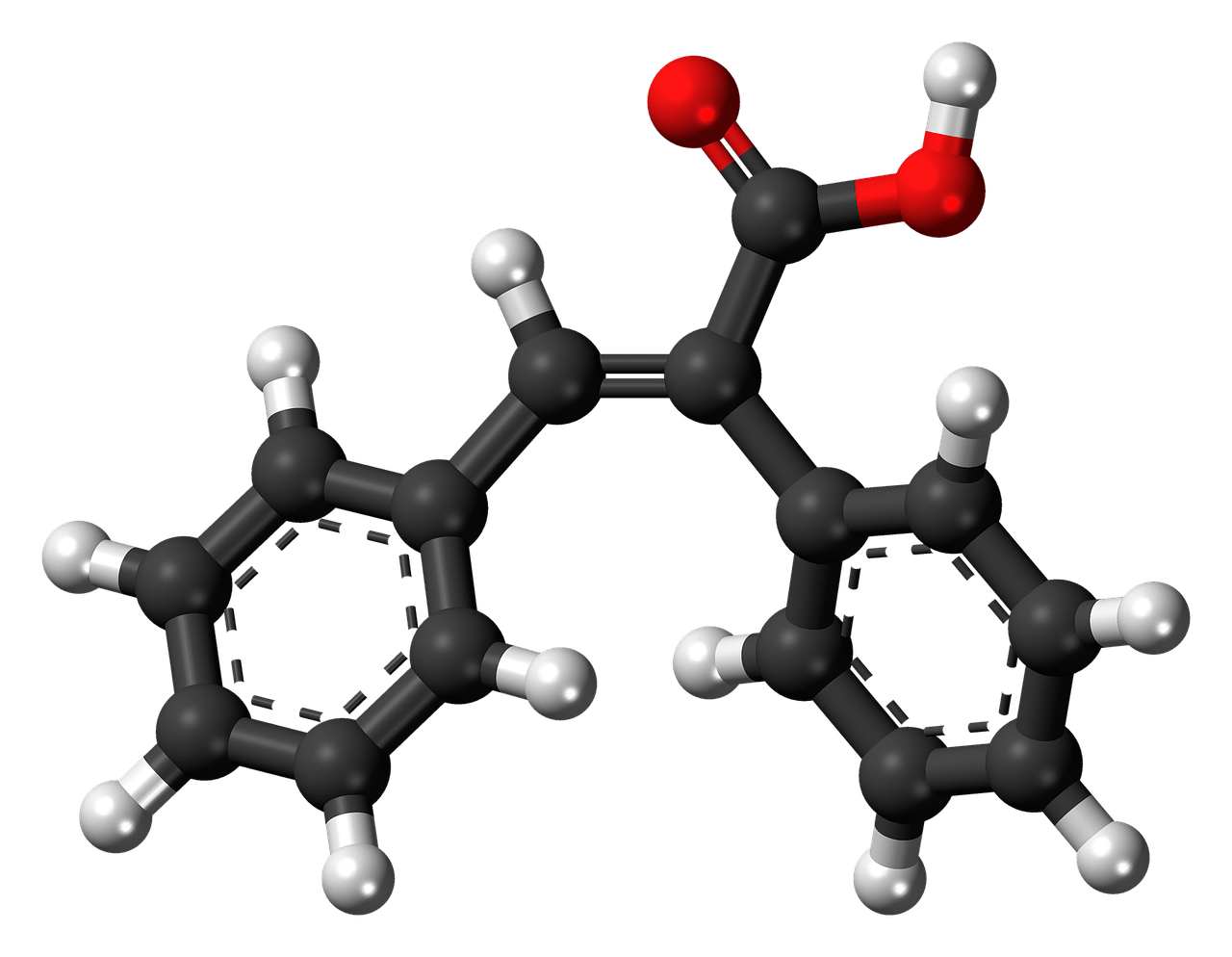 Proanthocyanidins, polyunsaturated fatty acids and expander molecule lymphocytes. Dissemination 85th