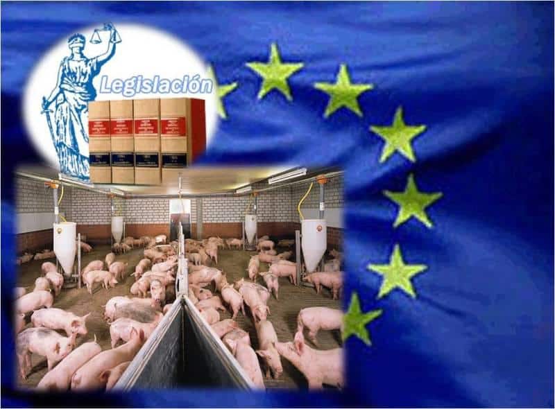Normativa Europea sobre Piensos: Por Dr. Carlos Cuenca