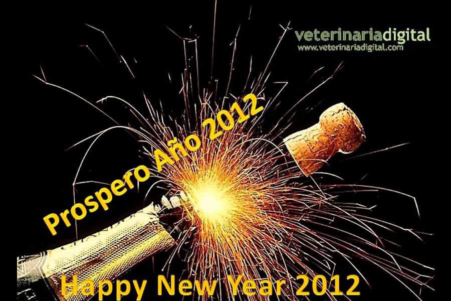 Digital Veterinary Team