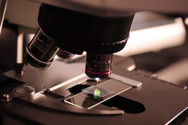 Biotechnology: Protects animal health
