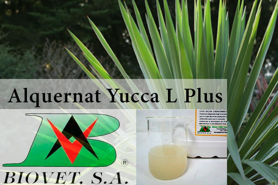 Biovet S.A. presents a new nutritional supplement (pronutrients), which reduces the concentration of ammonia
