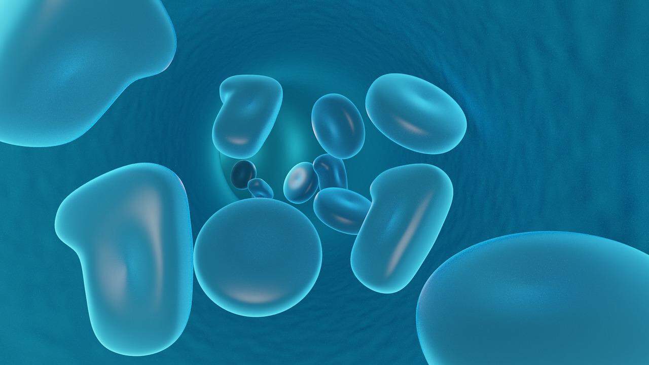 Hipótesis de biología matemática sobre la morfogénesis de los dedos. Divulgación 90
