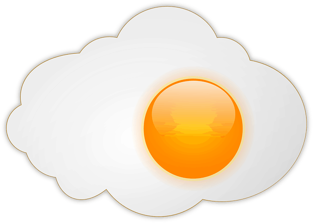 Factors affecting the egg albumin