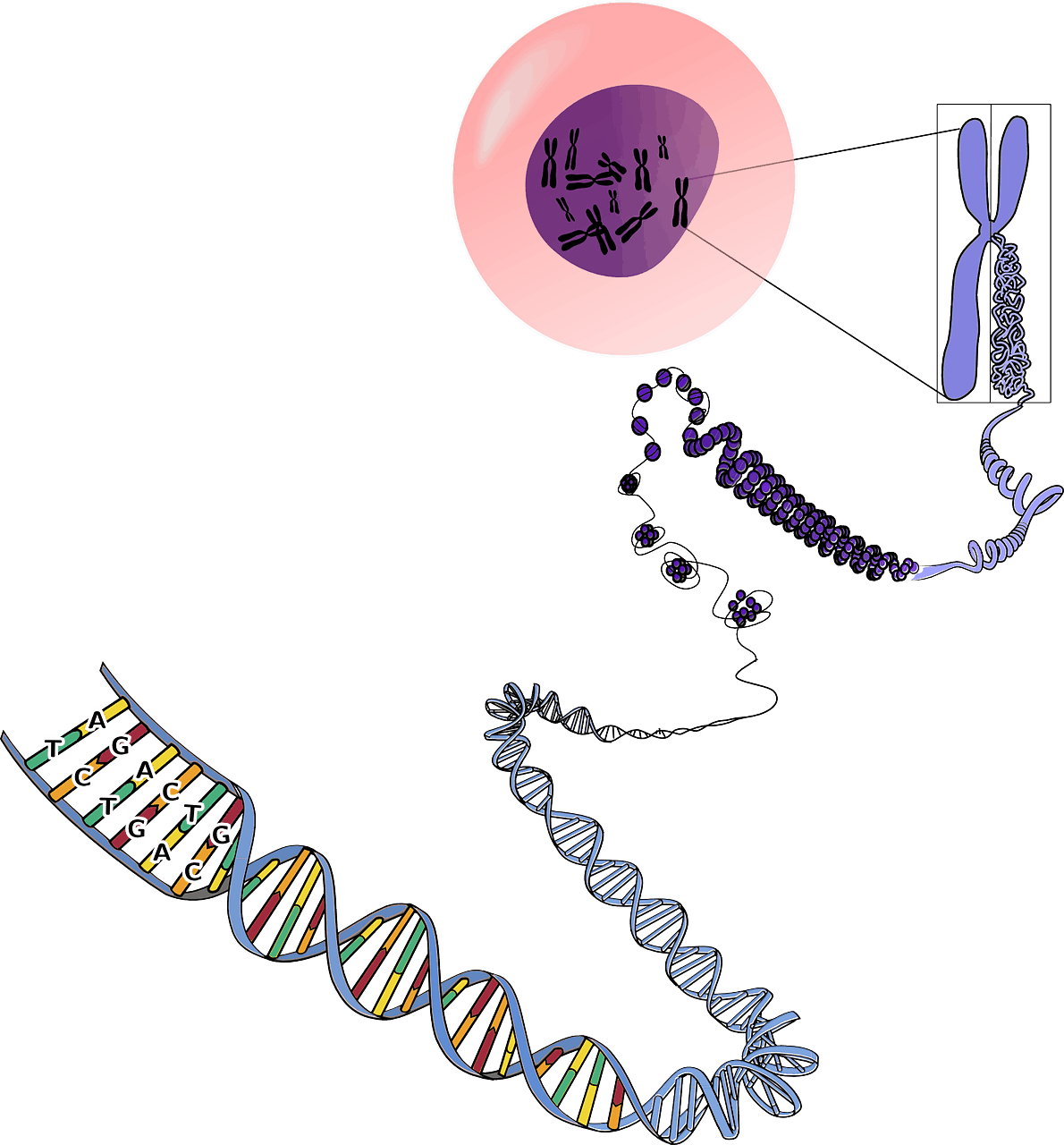 Origen de la vida y su inicio en la Tierra. Divulgación 33