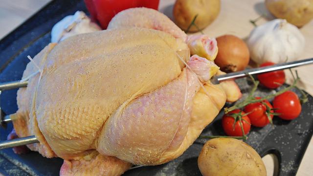 Use of natural additive intestinal regenerator VS Use of antibiotic growth promoter in broilers