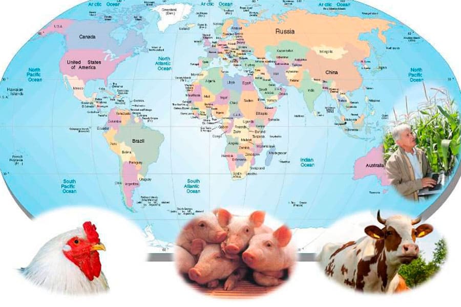 Micotoxinas: Patología Anual y áreas geográficas