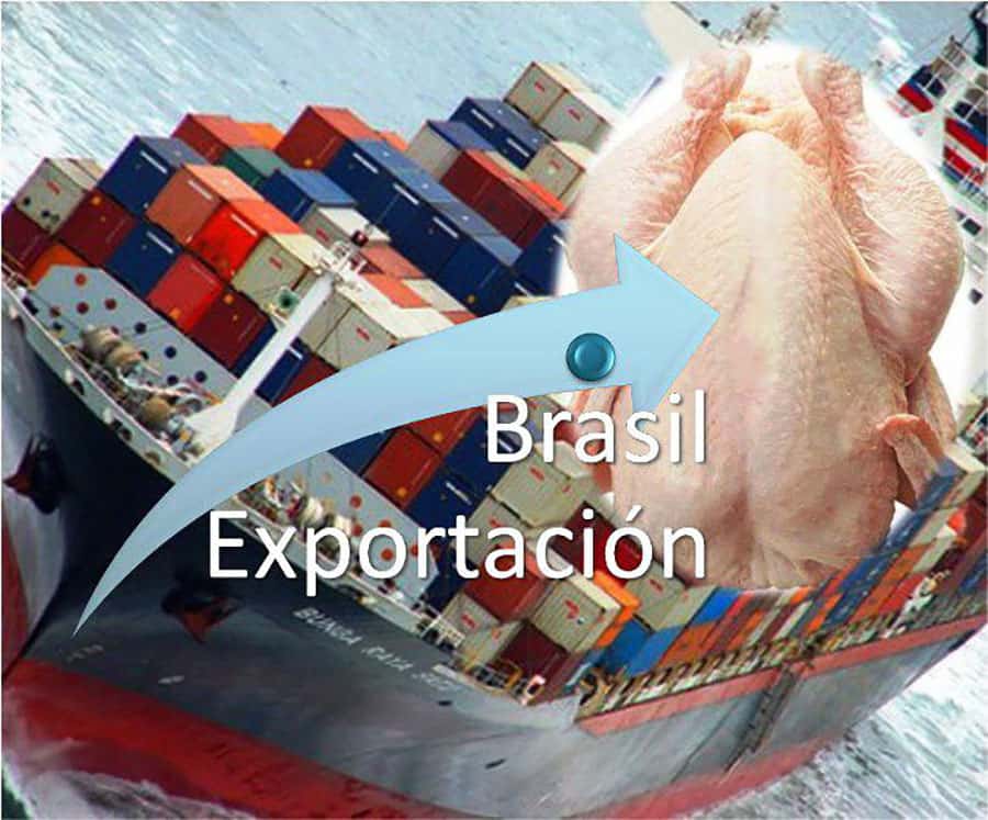 Brasil, autorizado a exportar carne de pollo fresca al Uruguay por: Dra. Liliana Revolledo