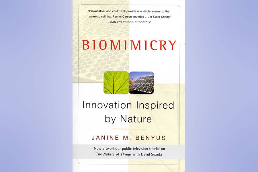 Biomimicry. Dissemination 111th