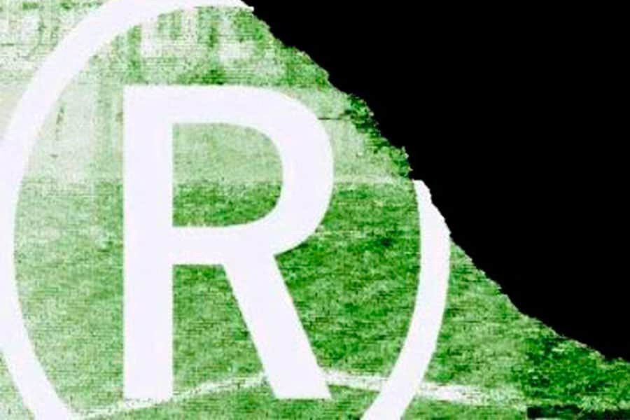 Brands and Patents: Industrial Property
