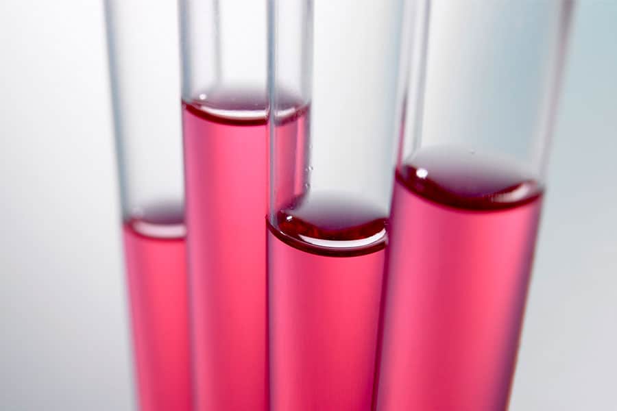 Effect of a natural preservative (cimenol ring) on Clostridium perfringens, in vitro