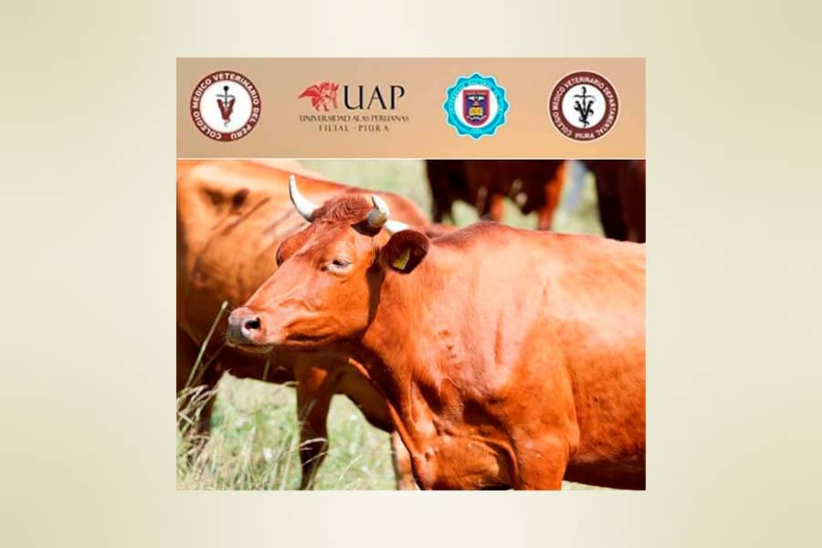 XX Congress of Veterinary Sciences