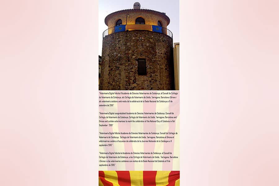 Diada