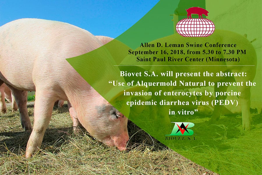 Biovet S.A. presentará un conservante en la Allen D. Leman Swine Conference (EE.UU.)