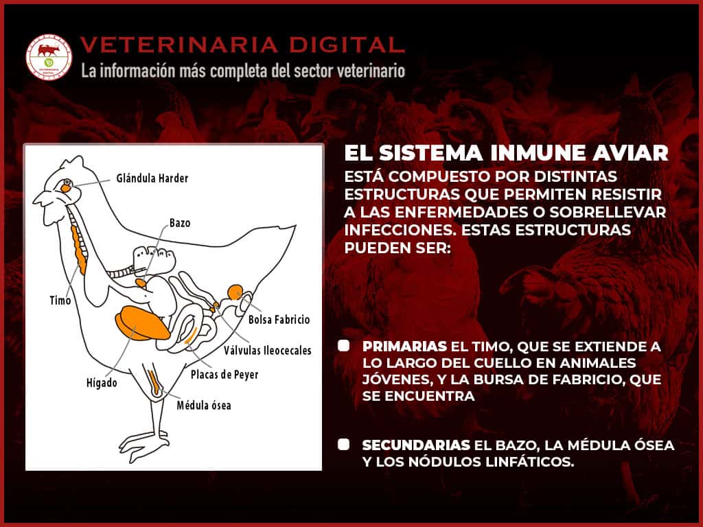 Inmunología veterinaria