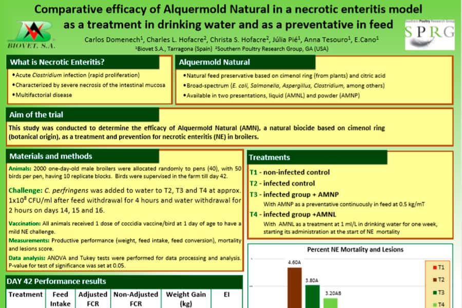 Eficacia comparada de un conservante natural en un modelo de enteritis necrótica