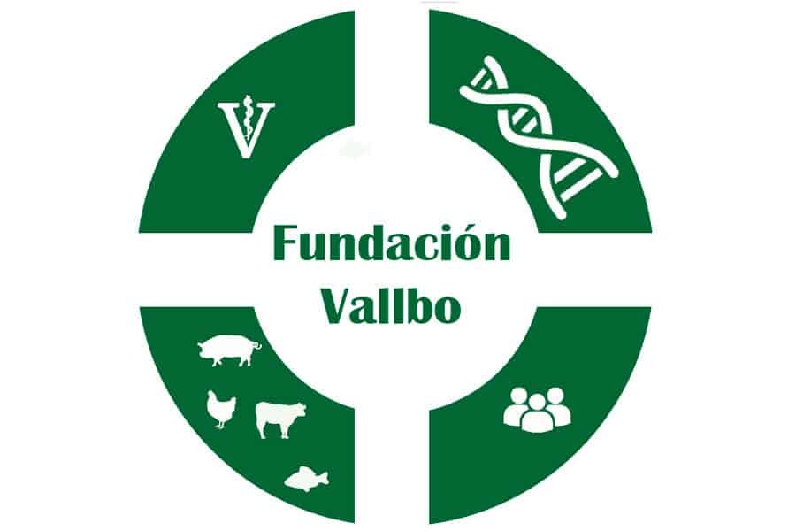 Dr. Jaime Borrell will chair Vallbo Foundation