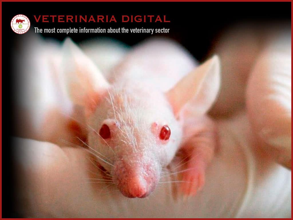 Preclinical Validation of the Mastocitary EP2 Receptor as Anti-Asthmatic Therapeutic Diana
