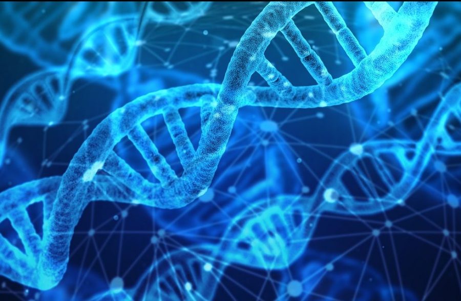 Identificación de genes y proteínas tejido-específicas inducidos por inmunoestimulante natural