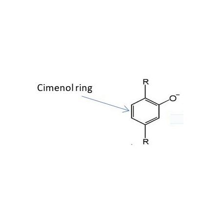 Antioxidant effect of cimenol ring