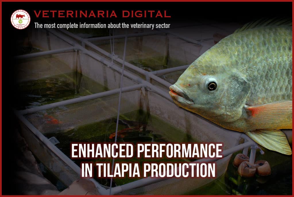 Enhanced performance in tilapia production by the inclusion of intestinal conditioner pronutrients in the diet