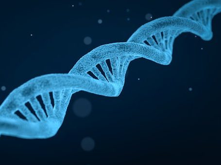 Identification of genes and tissue-specific proteins induced by an intestinal conditioner
