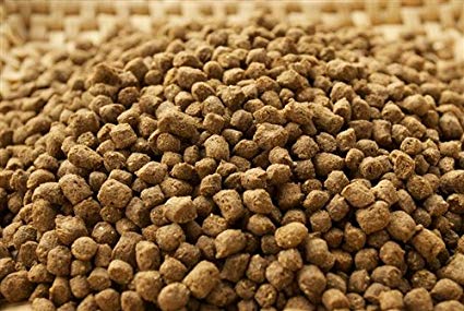 Evaluación in vitro de la eficacia a medio y largo plazo  del anillo cimenol como conservante del alimento