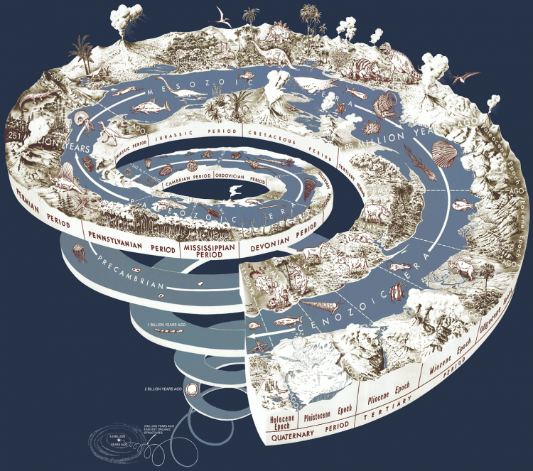 From the vegetable LUCA to current days and the future. Science blog 118th