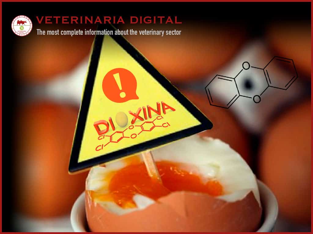Dioxins and food safety