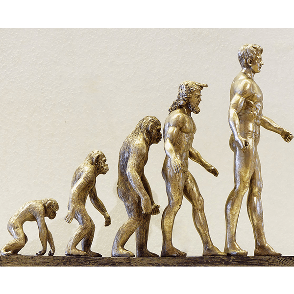 Evolution of UAC Homo-Pan towards Homo sapiens. Science blog 120