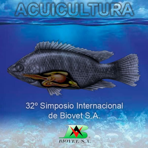 Acuicultura: mejora inmunólogica y salud intestinal en tilapias y truchas arcoíris