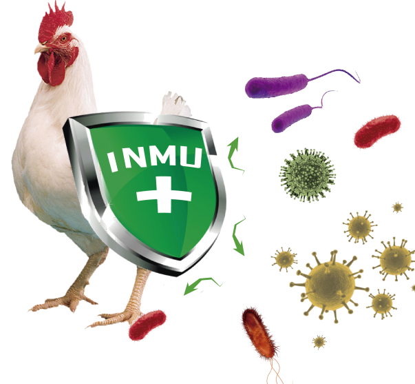 Biovet S.A. obtiene la patente del inmunoestimulante natural Alquernat Inmuplus