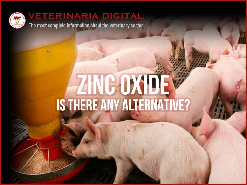 Zinc Oxide. Is there any alternative?