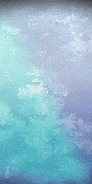 Minervet-Banner-V-articulo-en
