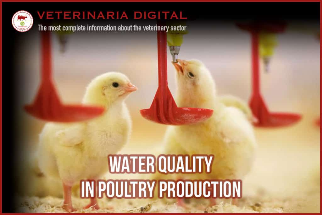 Water quality in poultry production