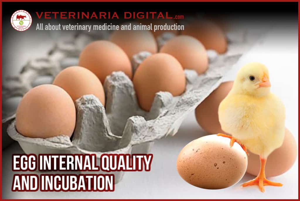 Factors that affect the egg internal quality and hatchability